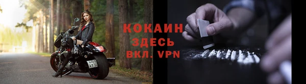 ПСИЛОЦИБИНОВЫЕ ГРИБЫ Белоозёрский