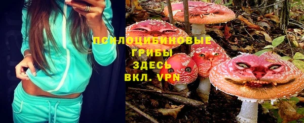 ПСИЛОЦИБИНОВЫЕ ГРИБЫ Белоозёрский