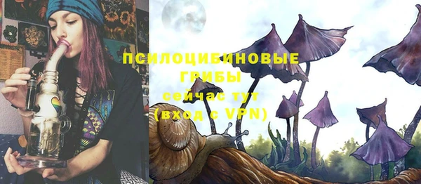 каннабис Белокуриха
