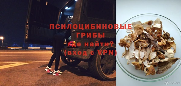 ПСИЛОЦИБИНОВЫЕ ГРИБЫ Белоозёрский