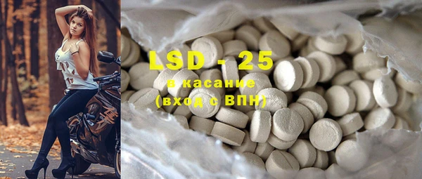 ПСИЛОЦИБИНОВЫЕ ГРИБЫ Белоозёрский