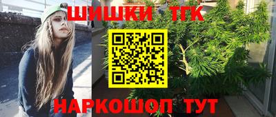 МДПВ Бийск